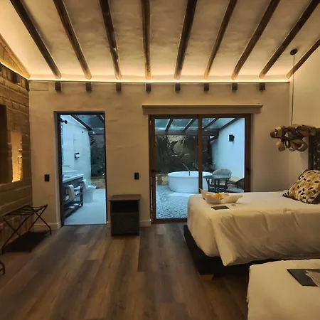 Hotel Boutique El Carmel-2